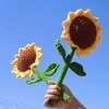 Winning the championship in one go: sunflower Popsicle making handicrafts, home decoration and arrangement, creative gifts, artworks, graduation gifts, knitted mini woolen bouquets, simulated cream puffs, little chanese-style birthday gifts, kindergarten graduation bouquets details Picture